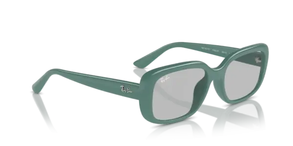 Ray-Ban 0RB4421D 676287