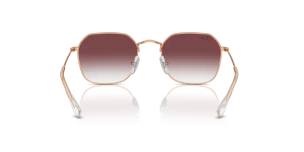 Ray-Ban 0RJ9594S 291/8H