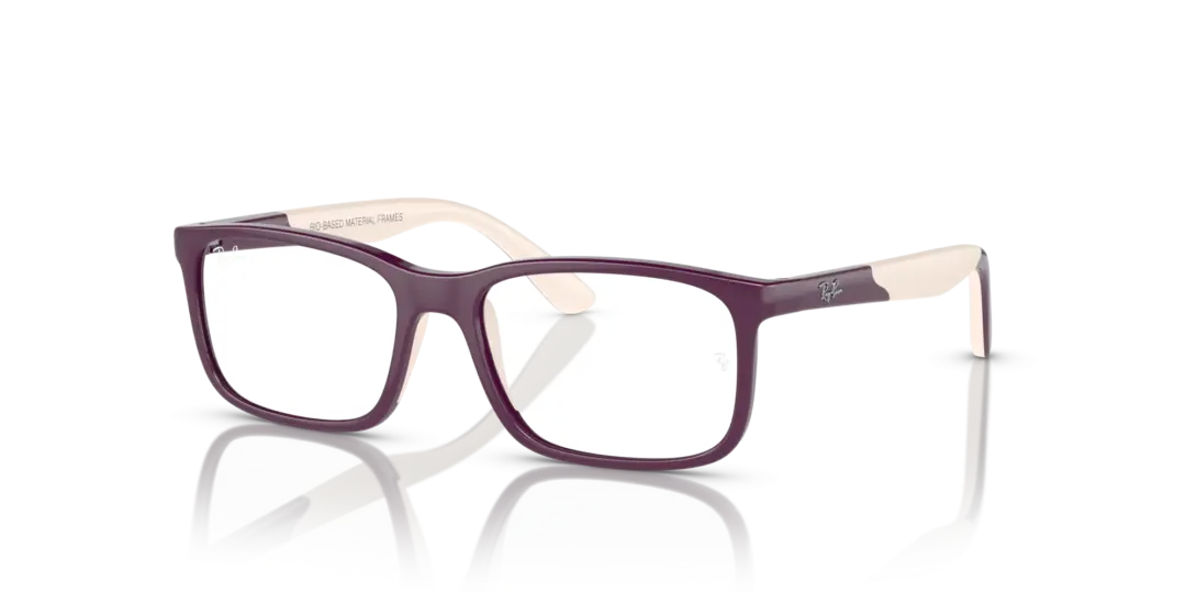 Ray-Ban Junior Optical 0RY1621F 3931