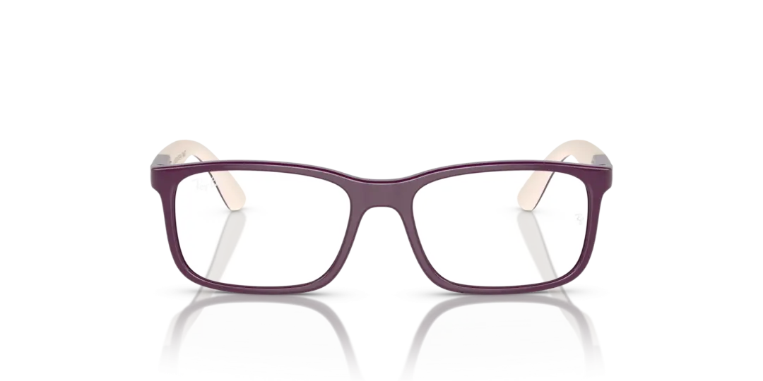 Ray-Ban Junior Optical 0RY1621F 3931