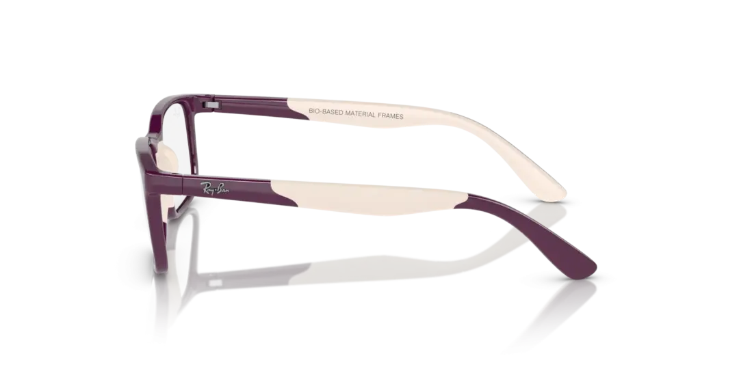 Ray-Ban Junior Optical 0RY1621F 3931