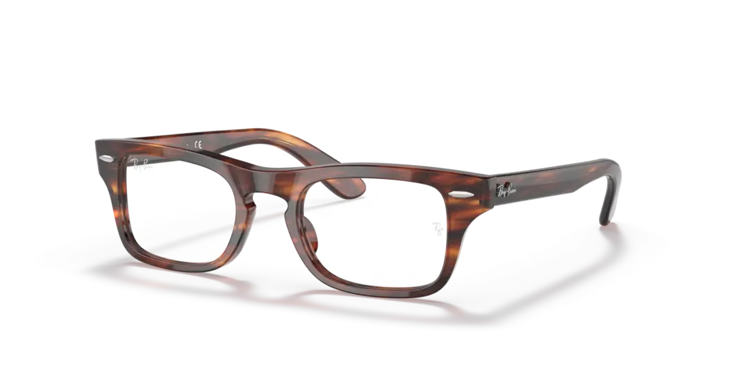 Ray-Ban Junior Optical Junior burbank 0RY9083V 3888