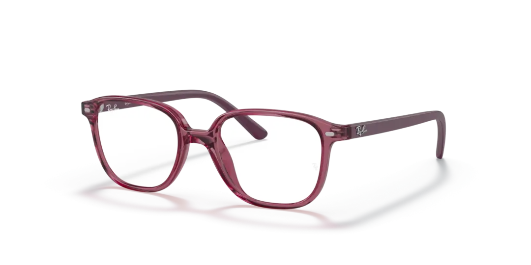 Ray-Ban Junior Optical Junior leonard 0RY9093V 3898