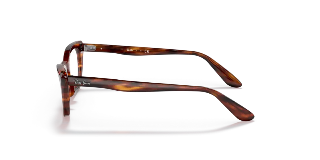 Ray-Ban Junior Optical Miss burbank 0RY9099V 3888