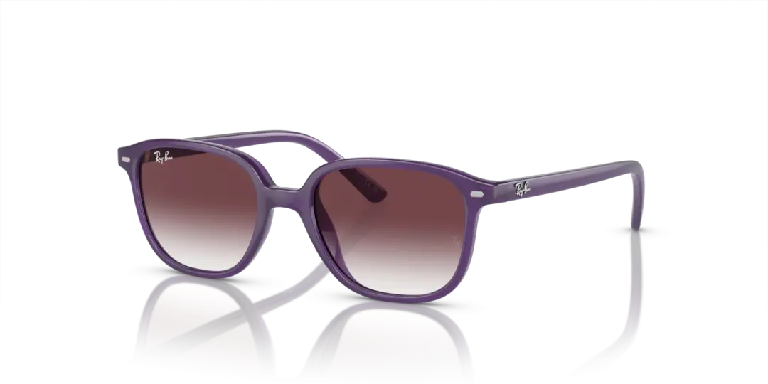Ray-Ban Junior leonard 0RJ9093S 713136