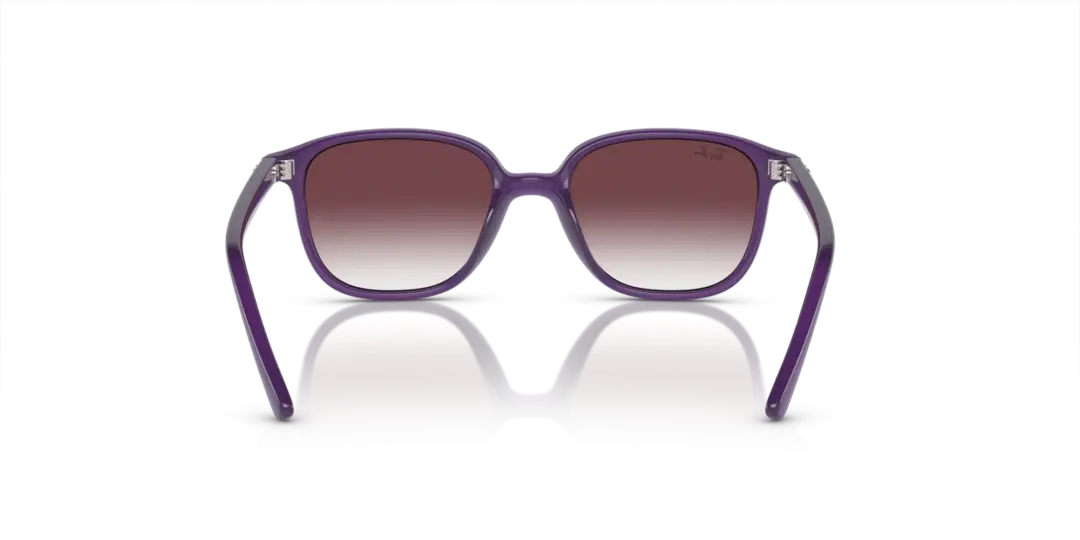 Ray-Ban Junior leonard 0RJ9093S 713136