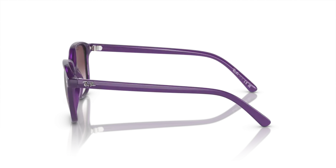 Ray-Ban Junior leonard 0RJ9093S 713136