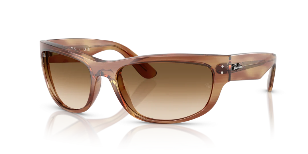 Ray-Ban Mega balorama 0RB2289 140351