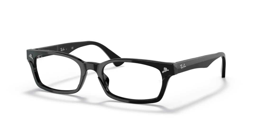 Ray-Ban Optical 0RX5017A 2000