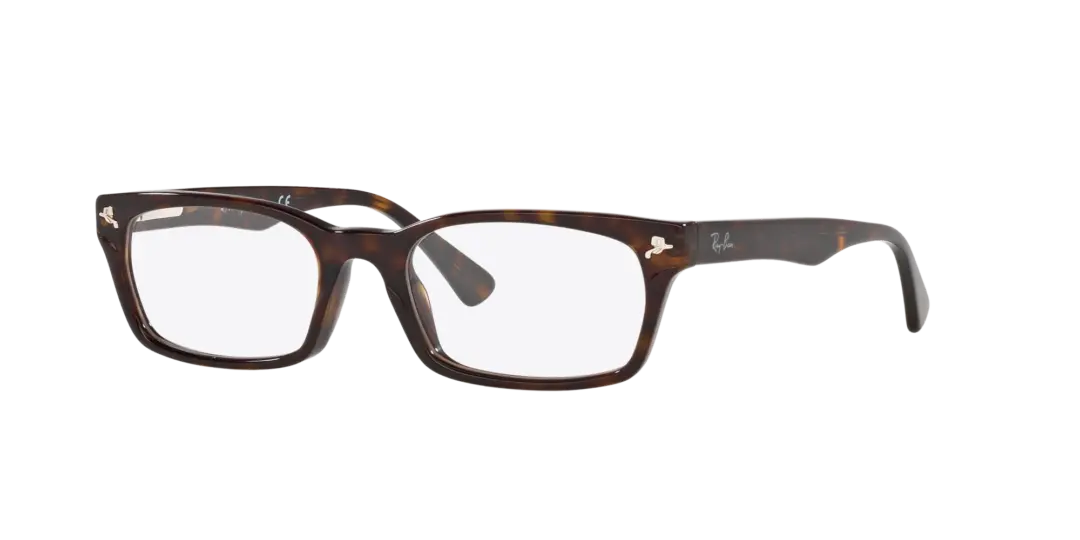 Ray-Ban Optical 0RX5017A 2012