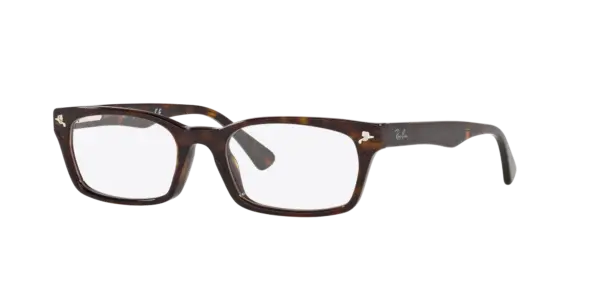 Ray-Ban Optical 0RX5017A 2012