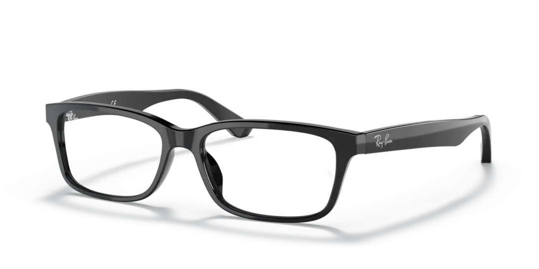 Ray-Ban Optical 0RX5296D 2000