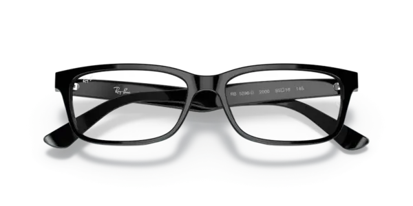 Ray-Ban Optical 0RX5296D 2000