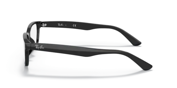 Ray-Ban Optical 0RX5296D 2000