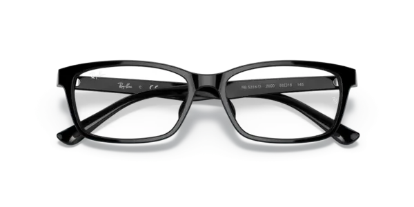 Ray-Ban Optical 0RX5318D 2000