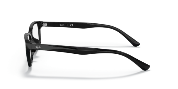 Ray-Ban Optical 0RX5318D 2000