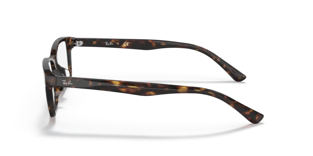 Ray-Ban Optical 0RX5318D 2012
