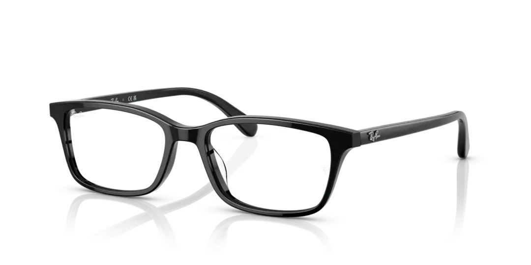 Ray-Ban Optical 0RX5416D 2000