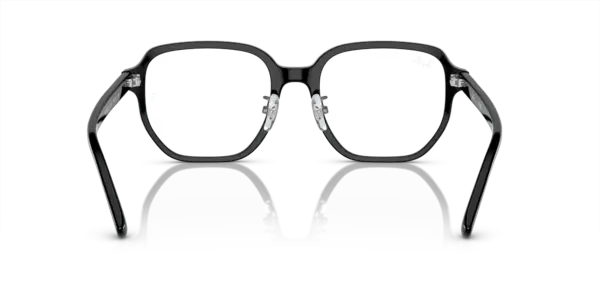 Ray-Ban Optical 0RX5424D 2000