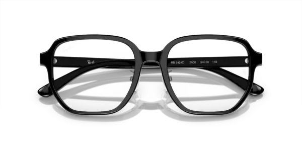 Ray-Ban Optical 0RX5424D 2000