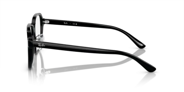 Ray-Ban Optical 0RX5424D 2000