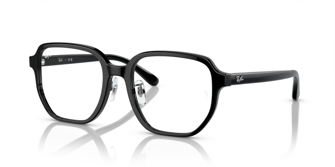 Ray-Ban Optical 0RX5424D 2000