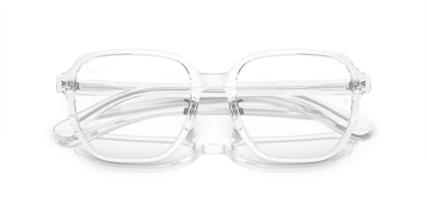 Ray-Ban Optical 0RX5424D 2001