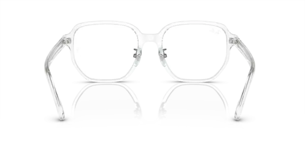 Ray-Ban Optical 0RX5424D 2001