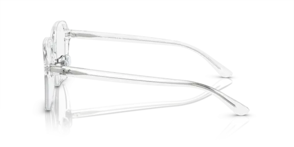 Ray-Ban Optical 0RX5424D 2001