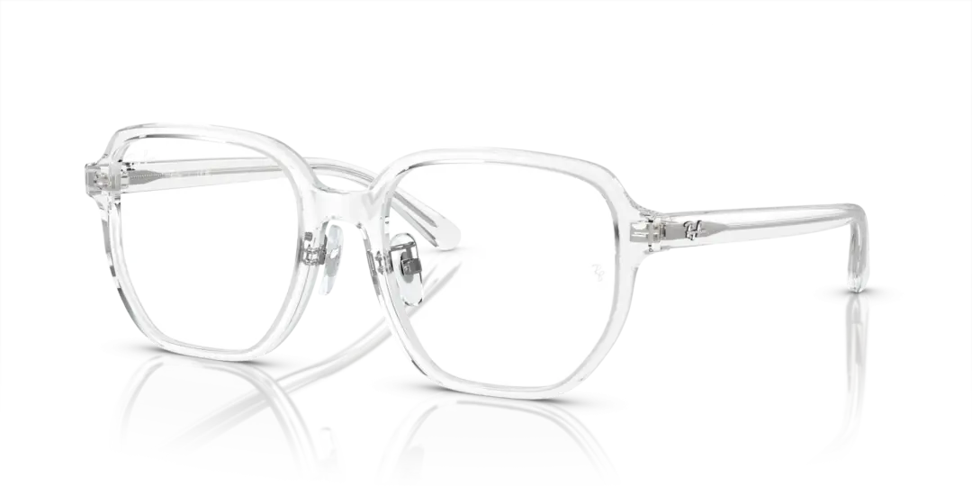 Ray-Ban Optical 0RX5424D 2001