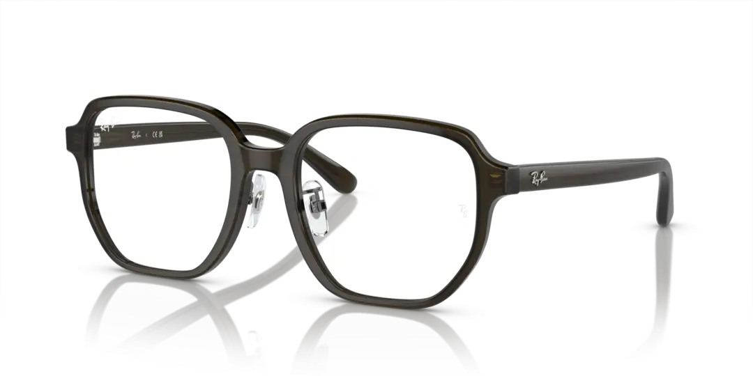 Ray-Ban Optical 0RX5424D 8218