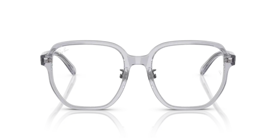 Ray-Ban Optical 0RX5424D 8415