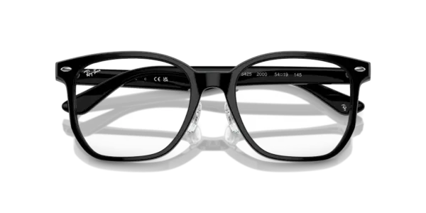 Ray-Ban Optical 0RX5425D 2000