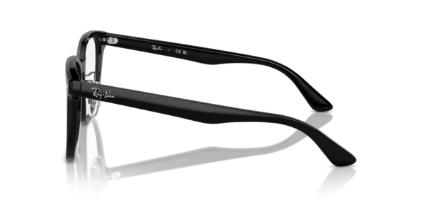 Ray-Ban Optical 0RX5425D 2000