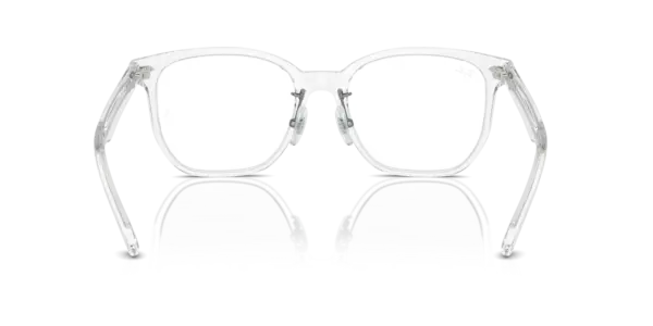 Ray-Ban Optical 0RX5425D 2001