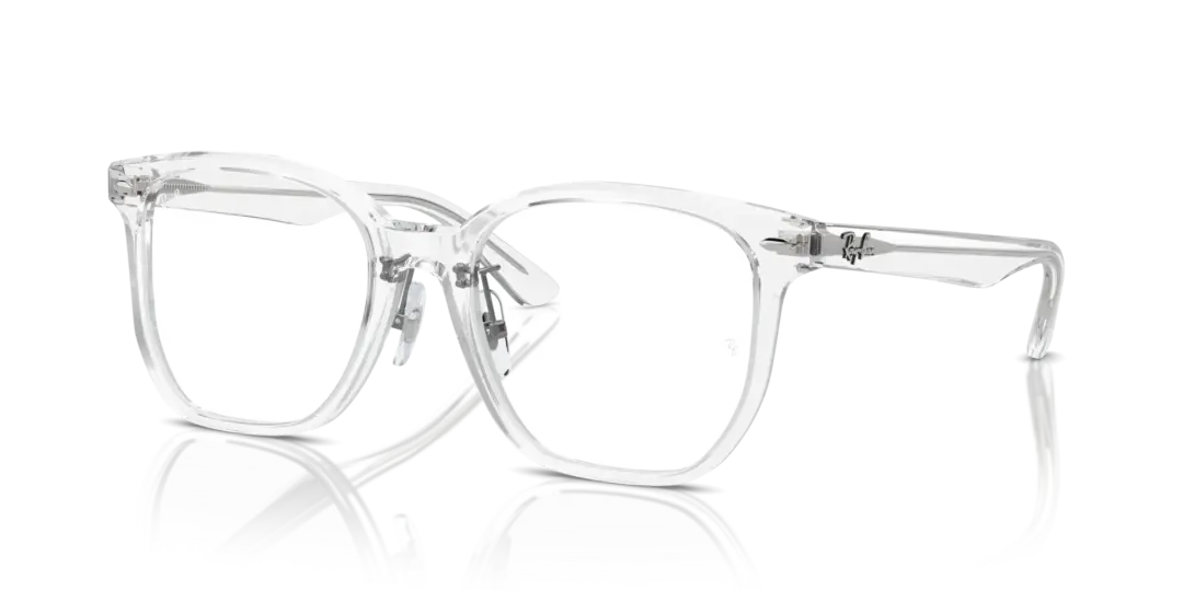 Ray-Ban Optical 0RX5425D 2001