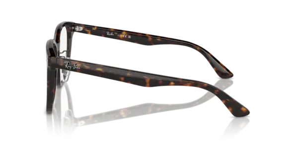 Ray-Ban Optical 0RX5425D 2012