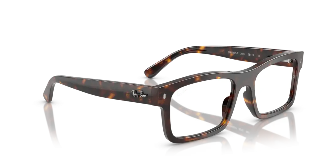 Ray-Ban Optical 0RX5435F 2012