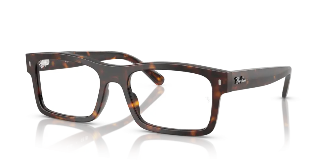 Ray-Ban Optical 0RX5435F 2012