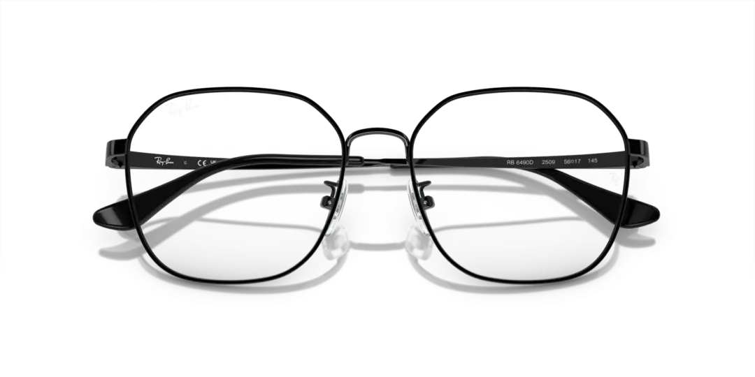 Ray-Ban Optical 0RX6490D 2509