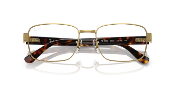 Ray-Ban Optical 0RX6529 2500