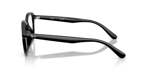 Ray-Ban Optical 0RX7259D 2000