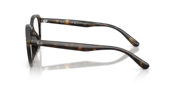 Ray-Ban Optical 0RX7259D 2012
