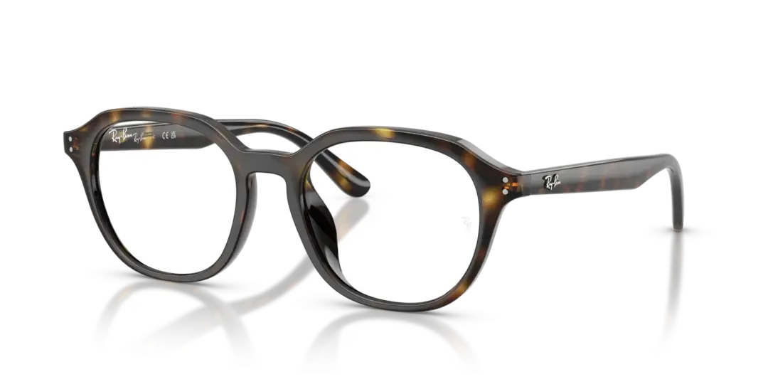 Ray-Ban Optical 0RX7259D 2012