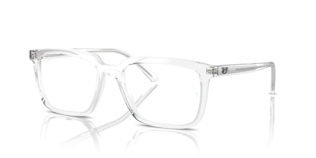 Ray-Ban Optical Alain 0RX7239F 2001
