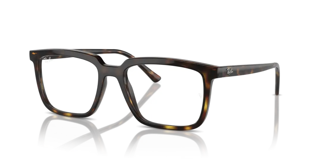 Ray-Ban Optical Alain 0RX7239F 2012
