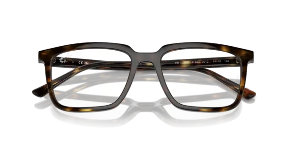 Ray-Ban Optical Alain 0RX7239F 2012