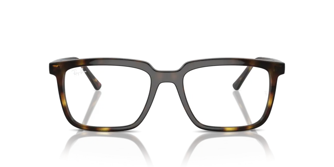Ray-Ban Optical Alain 0RX7239F 2012
