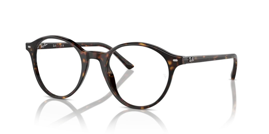 Ray-Ban Optical Bernard 0RX5430F 2012