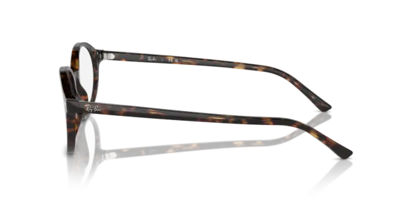 Ray-Ban Optical German 0RX5429 2012